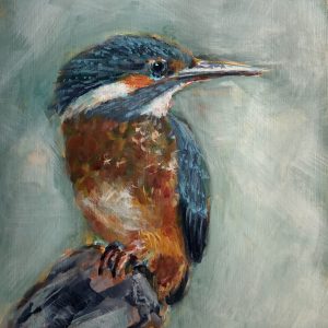 Kingfisher