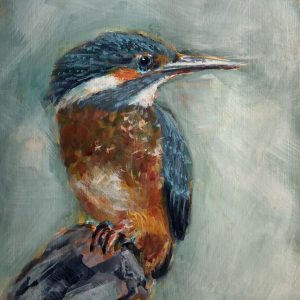 Kingfisher
