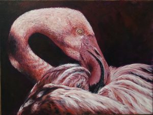 Flamingo