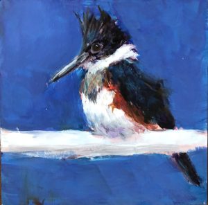 Kingfisher